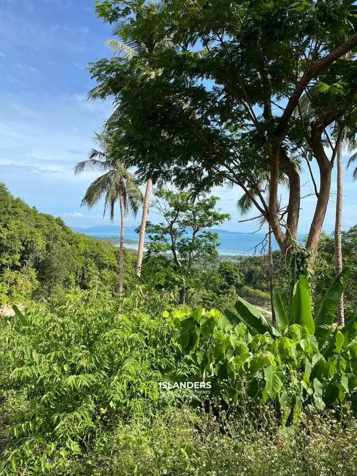 Exclusive Land for Sale in Koh Phangan with Breathtaking Sea View