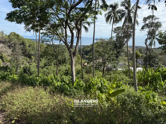 Exclusive Land for Sale in Koh Phangan with Breathtaking Sea View