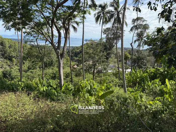 Exclusive Land for Sale in Koh Phangan with Breathtaking Sea View