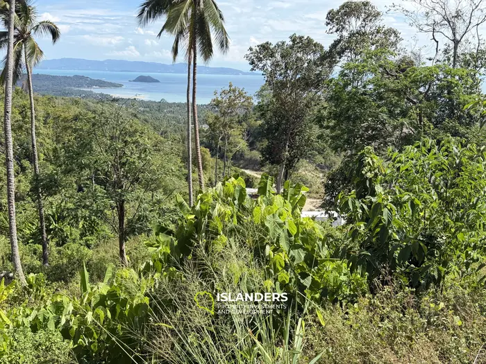 Exclusive Land for Sale in Koh Phangan with Breathtaking Sea View