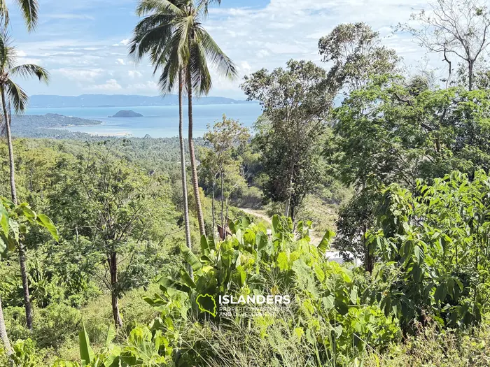 Exclusive Land for Sale in Koh Phangan with Breathtaking Sea View