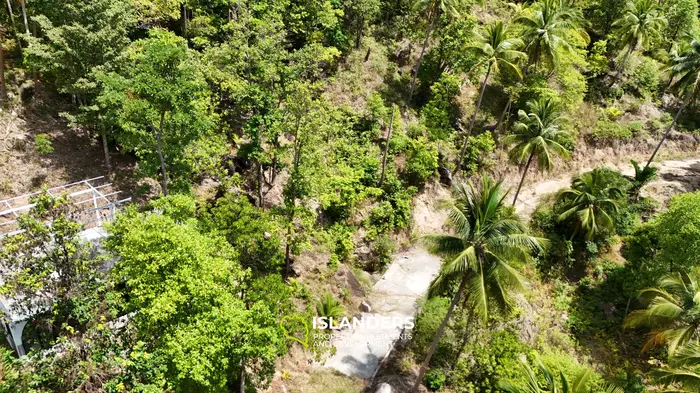Exclusive Land for Sale with small house in Haad Salad, Koh Phangan