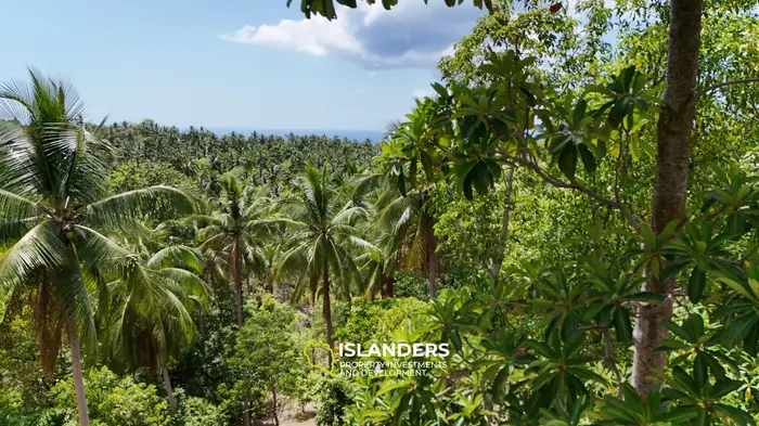 Exclusive Land for Sale with small house in Haad Salad, Koh Phangan