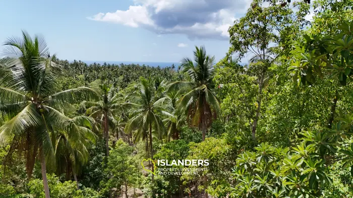 Exclusive Land for Sale with small house in Haad Salad, Koh Phangan