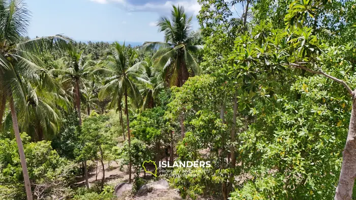 Exclusive Land for Sale with small house in Haad Salad, Koh Phangan
