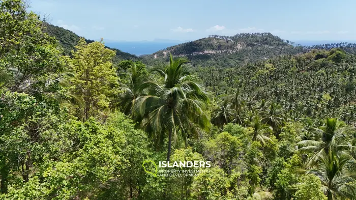 Exclusive Land for Sale with small house in Haad Salad, Koh Phangan