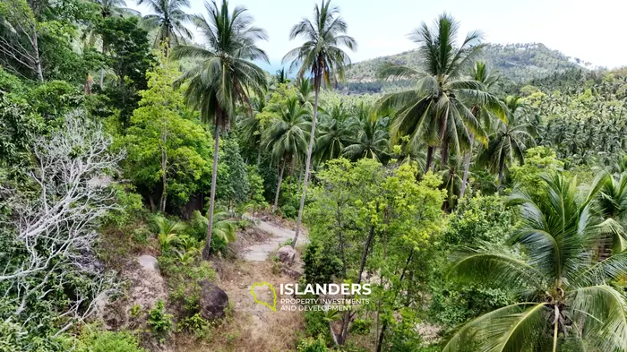 Exclusive Land for Sale with small house in Haad Salad, Koh Phangan