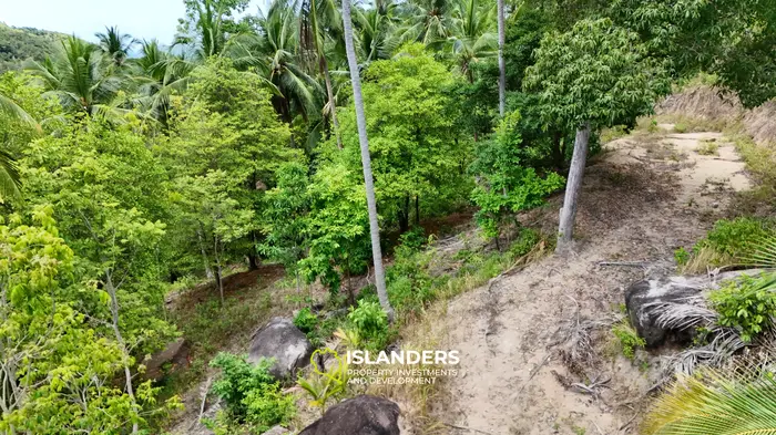 Exclusive Land for Sale with small house in Haad Salad, Koh Phangan