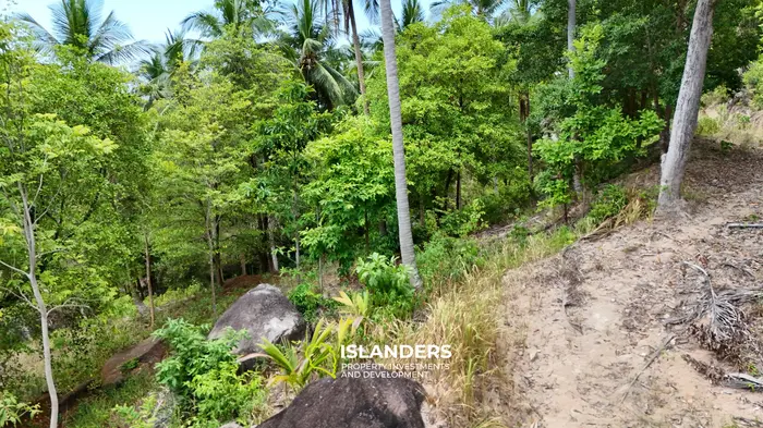 Exclusive Land for Sale with small house in Haad Salad, Koh Phangan