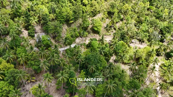 Exclusive Land for Sale with small house in Haad Salad, Koh Phangan