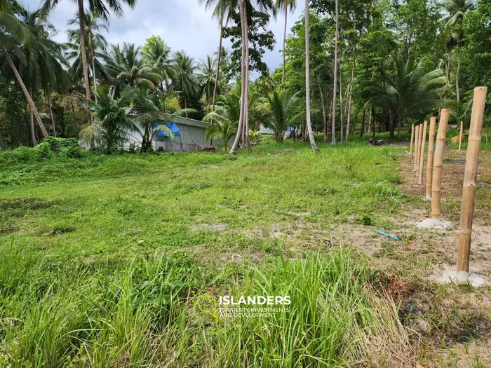 Exquisite Land Plot with Jungle View in Koh Phangan