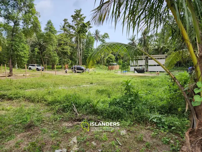 Exquisite Land Plot with Jungle View in Koh Phangan