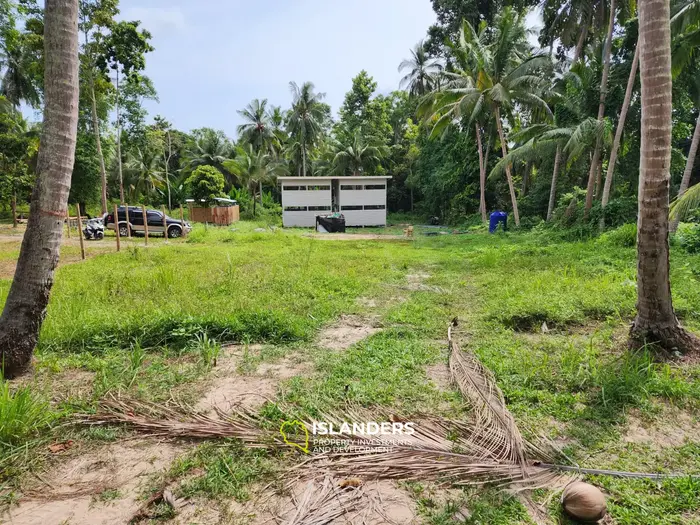 Exquisite Land Plot with Jungle View in Koh Phangan