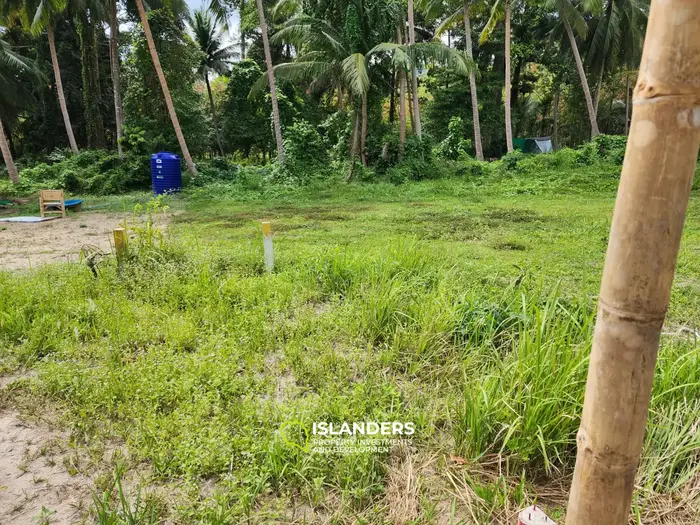 Exquisite Land Plot with Jungle View in Koh Phangan