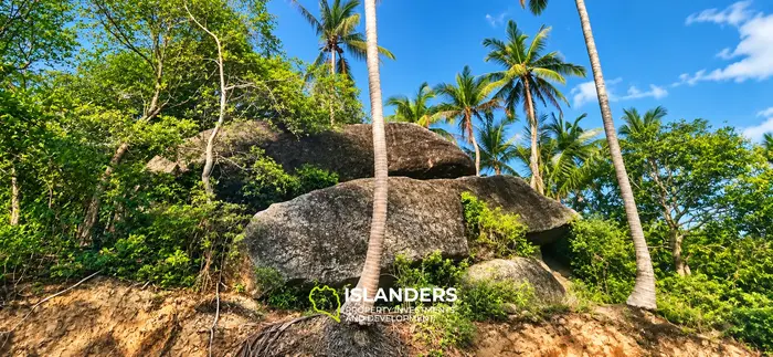 Amazing view land in Thonglang