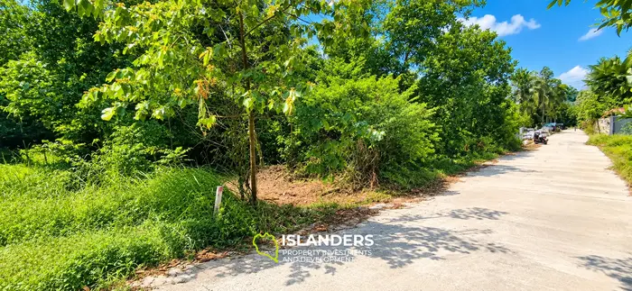 800 SqM flat land in central location