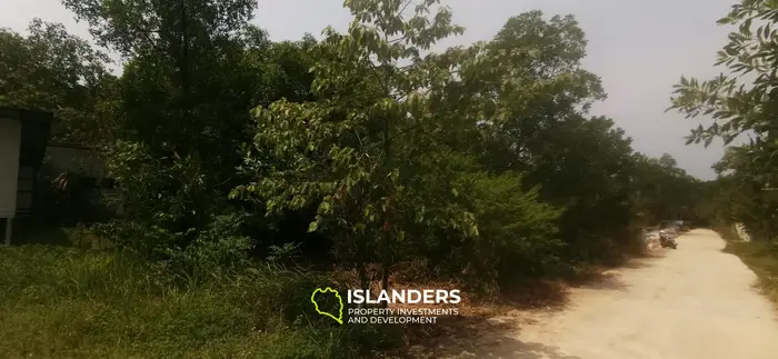 800 SqM flat land in central location