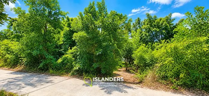800 SqM flat land in central location