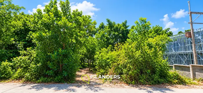 800 SqM flat land in central location