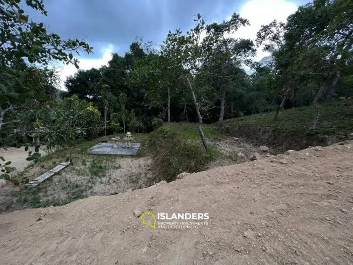 Enchanting Land for Sale in Koh Phangan (Freehold or Leasehold optional)
