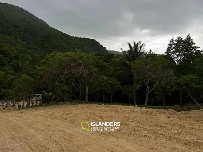 Enchanting Land for Sale in Koh Phangan (Freehold or Leasehold optional)