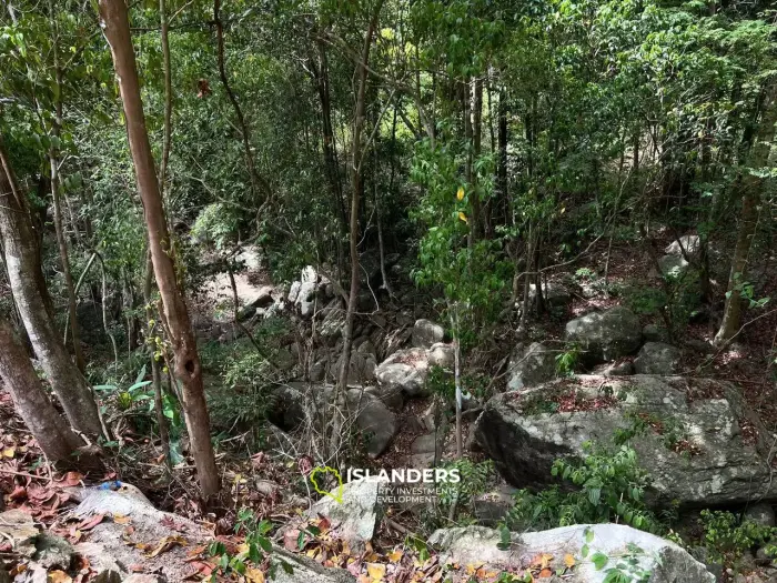 Enchanting Land for Sale in Koh Phangan (Freehold or Leasehold optional)