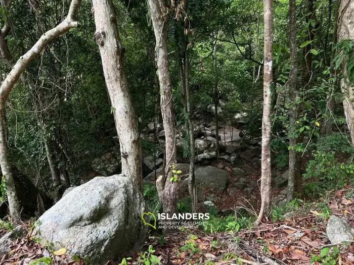 Enchanting Land for Sale in Koh Phangan (Freehold or Leasehold optional)