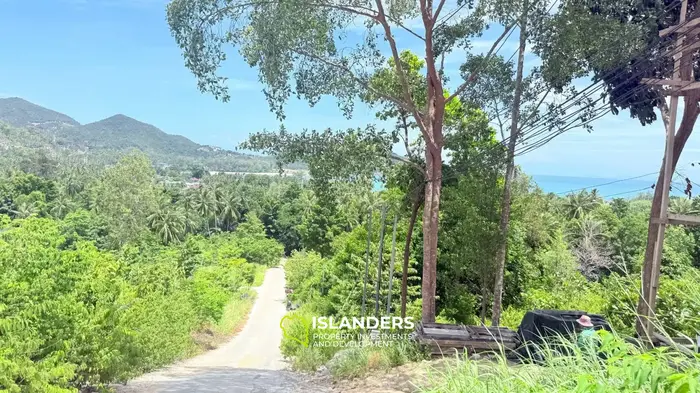 1 Rai Seaview Land for Sale – Chaloklum