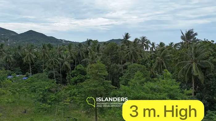 1 Rai Seaview Land for Sale – Chaloklum