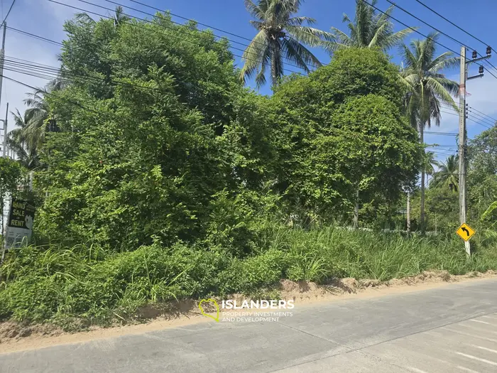 LAND FOR SALE – 1200 SQM Main road 