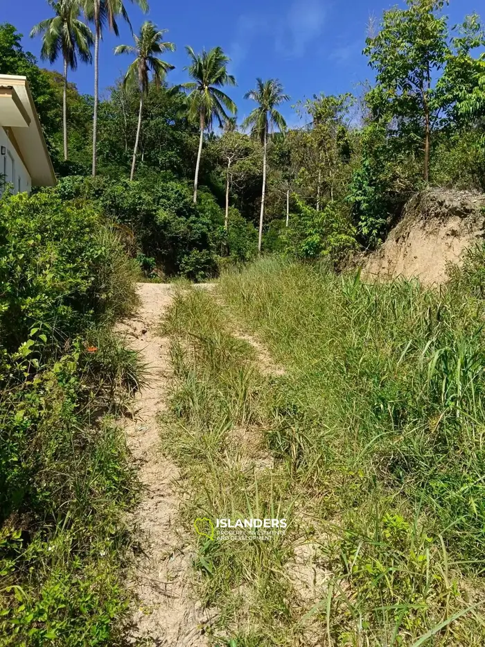 HOT SALE – SEA VIEW LAND