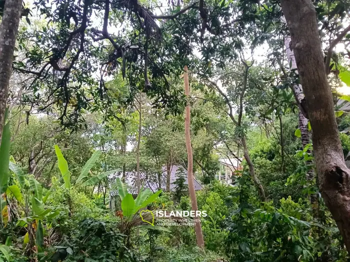 HOT SALE – SEA VIEW LAND