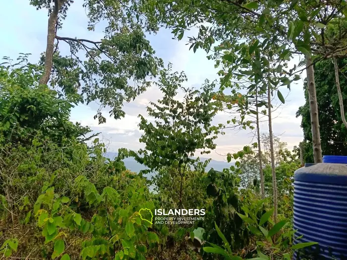 HOT SALE – SEA VIEW LAND