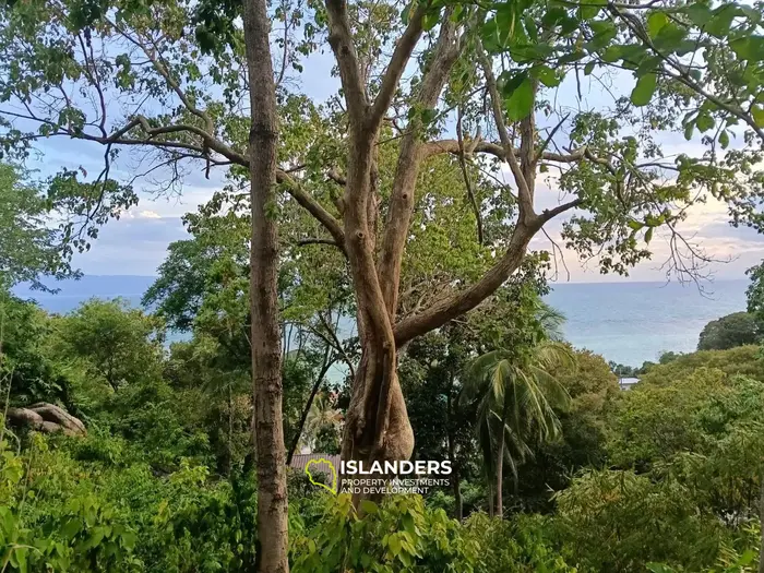 HOT SALE – SEA VIEW LAND