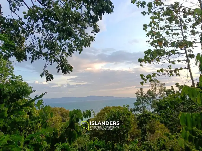 HOT SALE – SEA VIEW LAND