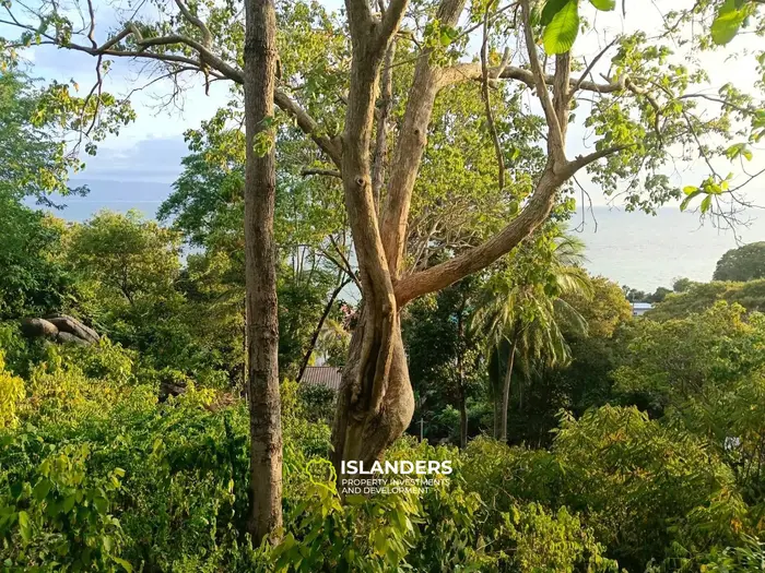 HOT SALE – SEA VIEW LAND