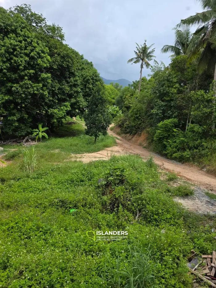  400 SQ.M. LAND FOR SALE IN HIN KONG