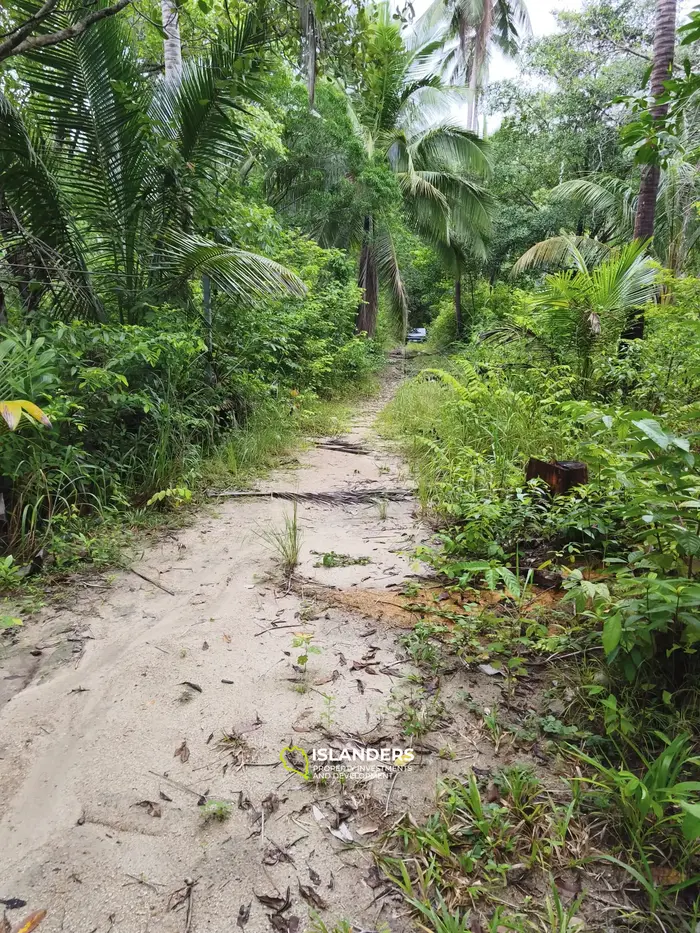 Sea View Land for Premium Villa Development – Chaloklum, Koh Phangan
