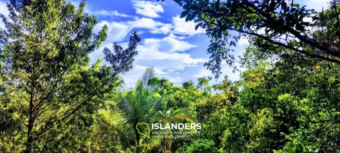 Прекрасный участок с видом на море и джунгли, старые деревья и красивые скалы, легко построить