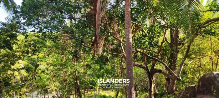 Прекрасный участок с видом на море и джунгли, старые деревья и красивые скалы, легко построить