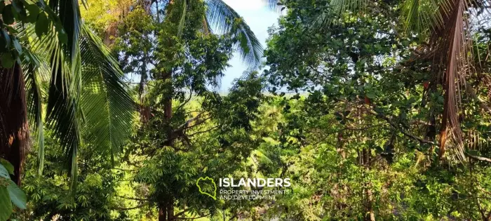 Прекрасный участок с видом на море и джунгли, старые деревья и красивые скалы, легко построить