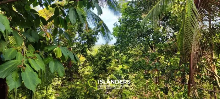 Прекрасный участок с видом на море и джунгли, старые деревья и красивые скалы, легко построить