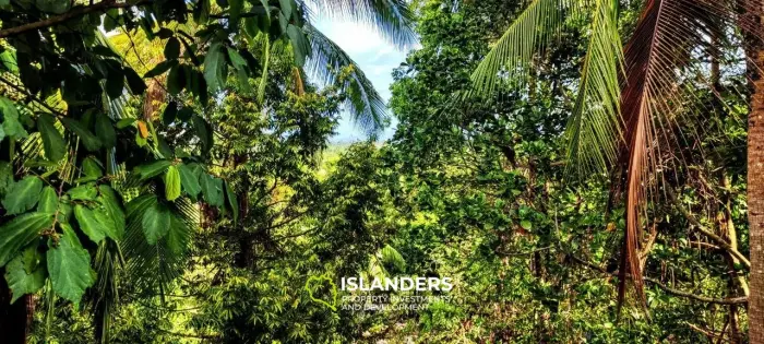 Прекрасный участок с видом на море и джунгли, старые деревья и красивые скалы, легко построить