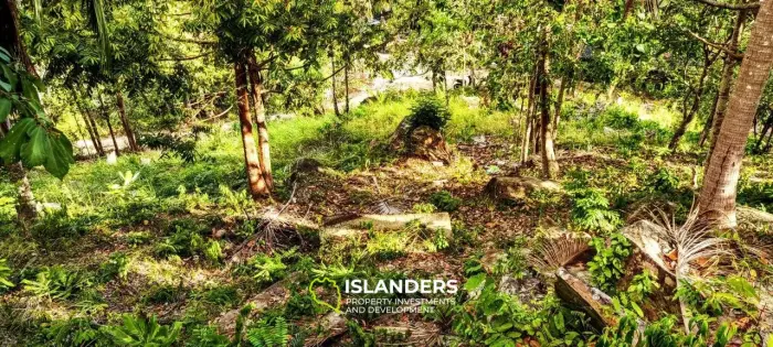 Прекрасный участок с видом на море и джунгли, старые деревья и красивые скалы, легко построить