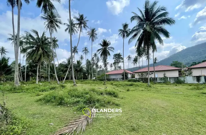 Terrain de 2 834 m² avec vue sur la montagne à Mae Nam à vendre