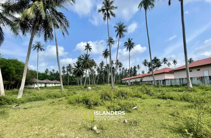 Terrain de 2 834 m² avec vue sur la montagne à Mae Nam à vendre