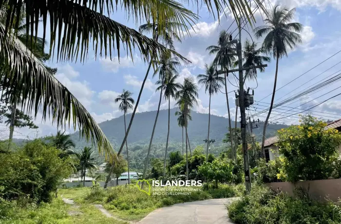 Terrain de 2 834 m² avec vue sur la montagne à Mae Nam à vendre