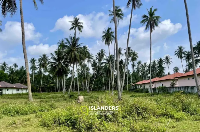 Terrain de 2 834 m² avec vue sur la montagne à Mae Nam à vendre