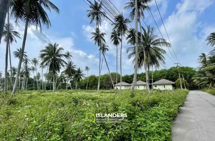 Terrain de 2 834 m² avec vue sur la montagne à Mae Nam à vendre