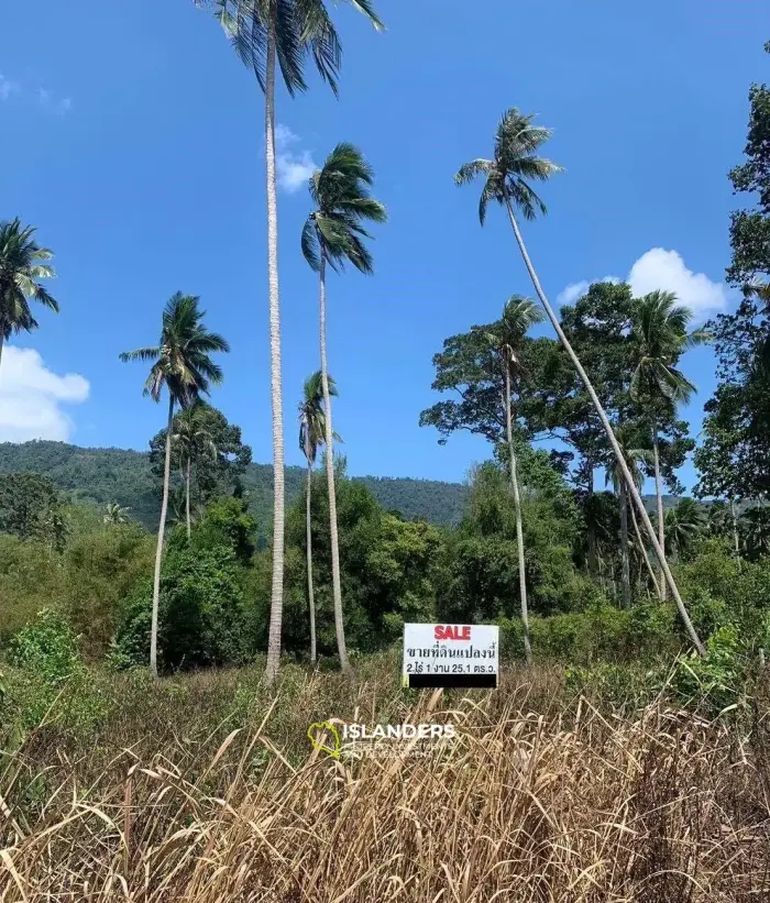 ขายที่ดินพร้อมวิวภูเขาในละไม